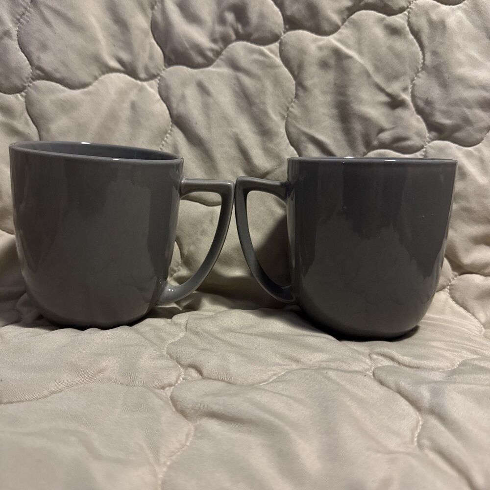 Restoration Hardware Por Large Fog Gray Mug Set